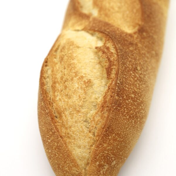 Italian Plain 16oz - Image 4