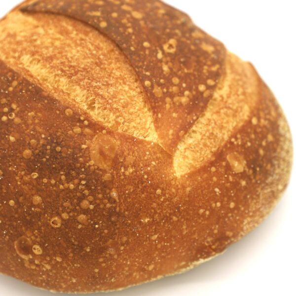 Semolina Panelli Plain 16oz - Image 4