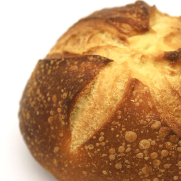 Semolina Hihat Plain 16oz - Image 4