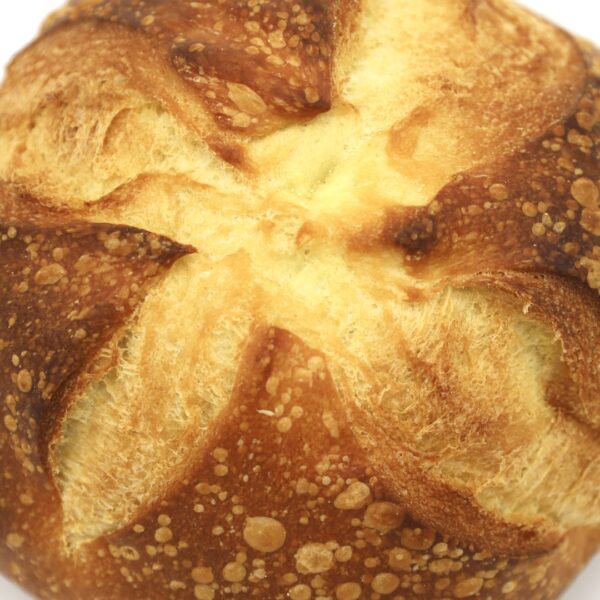Semolina Hihat Plain 16oz - Image 5