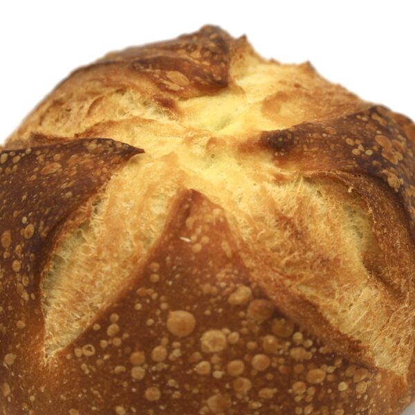 Semolina Hihat Plain 16oz - Image 6