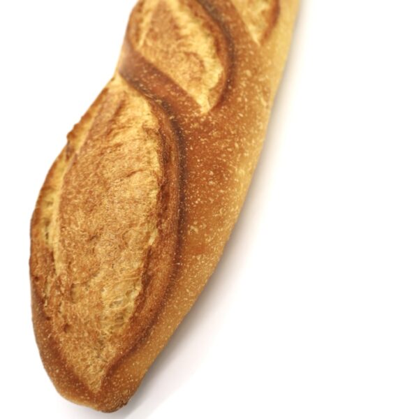 Semolina Plain 16oz - Image 4