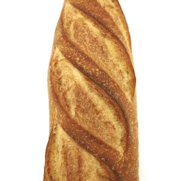 Semolina Plain 16oz - Image 5