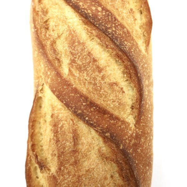 Semolina Plain 16oz - Image 6