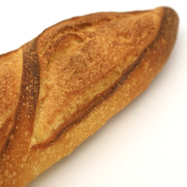 Semolina Plain 14oz - Image 5