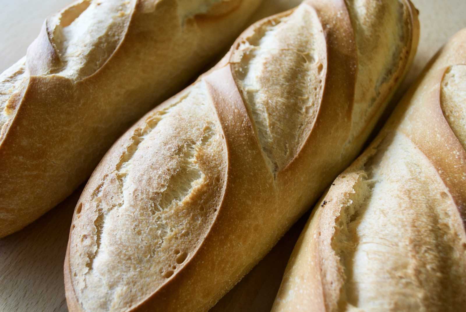 Regular Hero Plain 6oz | Monreale Bread